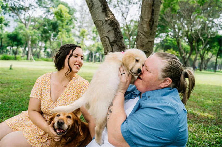 犬のダイエット、始める前に知っておくべき5つの健康メリット