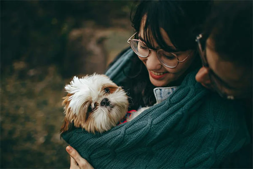 ハーレクインラビットの飼い方と健康管理｜初心者向け完全ガイド